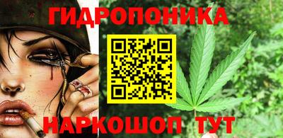 ГАЛЛЮЦИНОГЕННЫЕ ГРИБЫ Коммунар