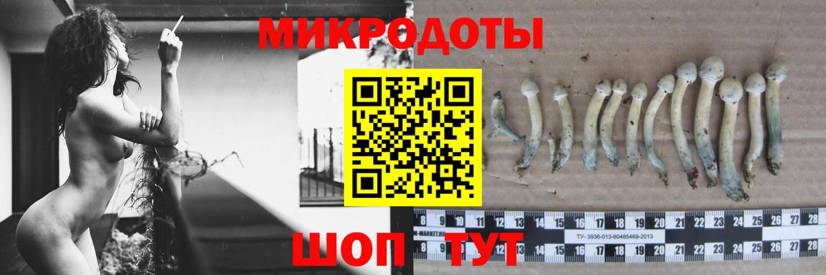 Щёлково  Псилоцибиновые грибы Psilocybe  Вход с VPN 